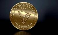 From Currency Alternative to Gambling: Tron Coins