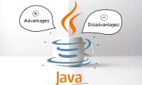 Pros and Cons of Java