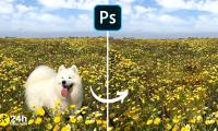 Steps to delete selections in Photoshop are very easy and effective