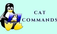 The Cat command in Linux