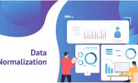 The Importance of Data Normalization
