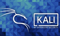 Steps to install Kali Linux on your computer are detailed and easy to follow