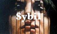 What is a Sybil Attack?