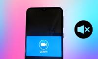 Why doesn't Zoom sound? Zoom error has no sound