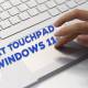 Steps to adjust Touchpad on Windows 11 for more convenient use