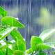Photo of Steps to make rain in Photoshop look lifelike with just a few taps