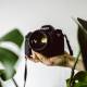 Photo of The Top 3 Camera Reviews: How to Buy A Suitable Camera