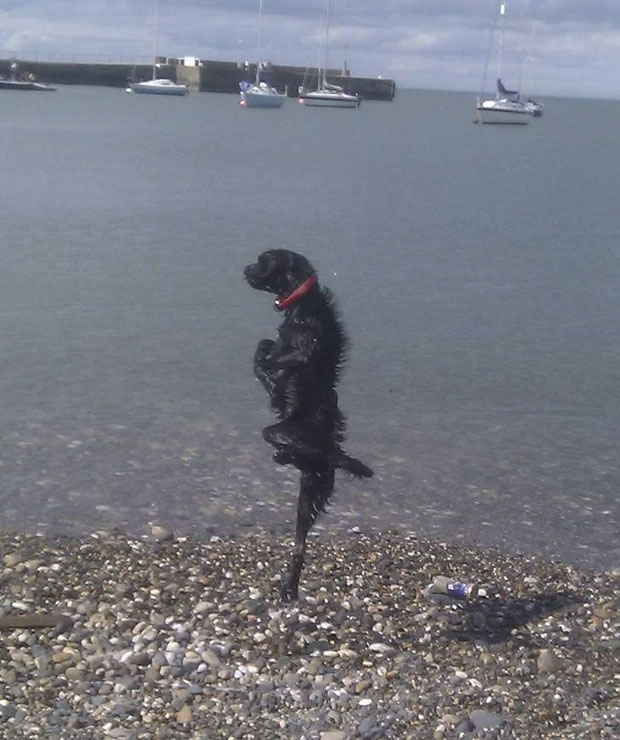 13 pictures still need an explanation to understand the problem Picture 12