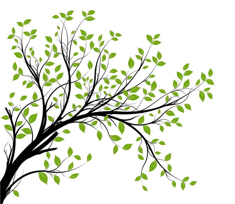 Beautiful Green Tree Background, download Beautiful Green Tree Background here Picture 11