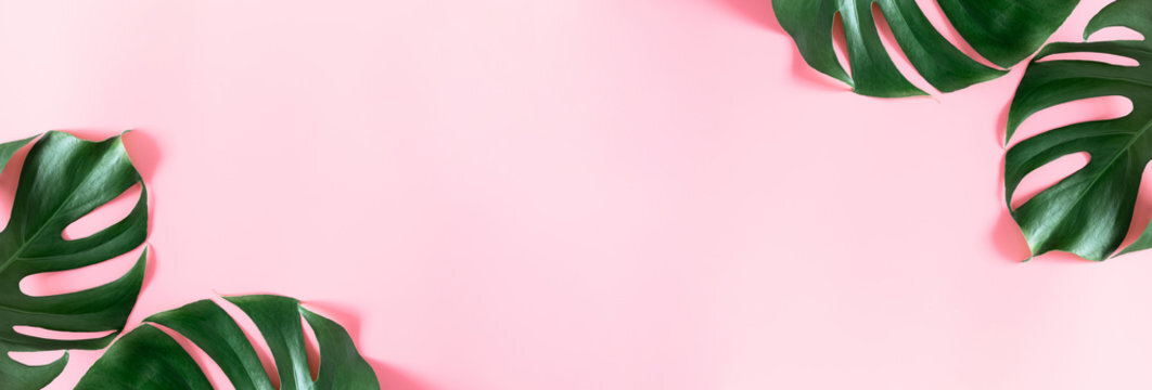 Beautiful Green Tree Background, download Beautiful Green Tree Background here Picture 43