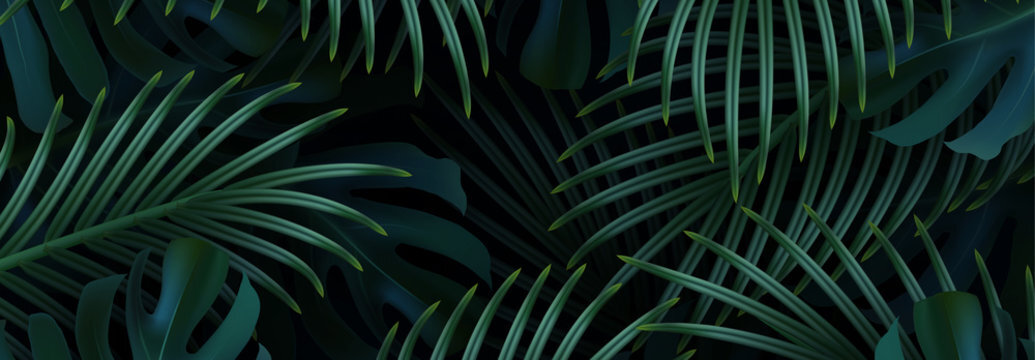 Beautiful Green Tree Background, download Beautiful Green Tree Background here Picture 46