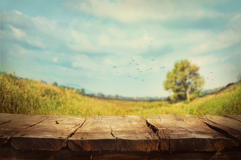 Beautiful Landscape Background, download Beautiful Landscape Background here Picture 14