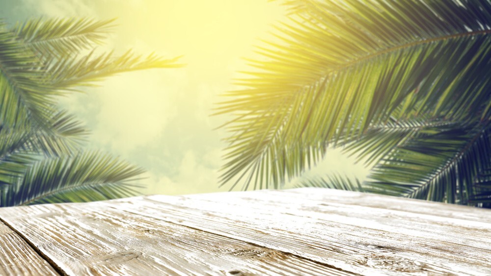 Beautiful Landscape Background, download Beautiful Landscape Background here Picture 15