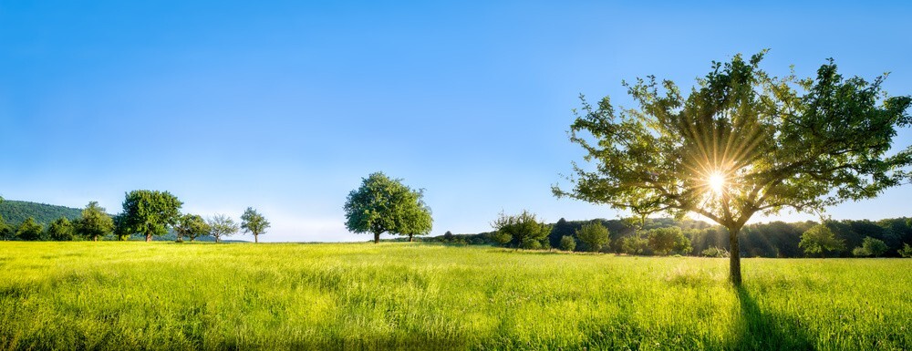 Beautiful Landscape Background, download Beautiful Landscape Background here Picture 18