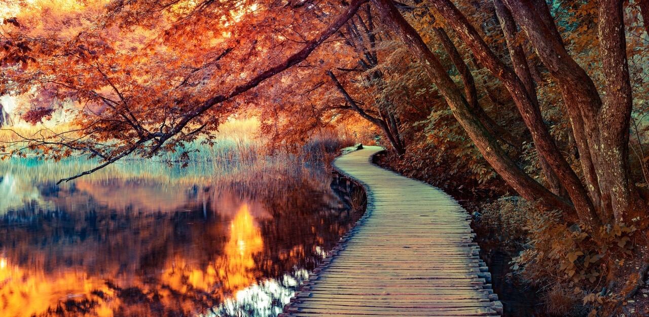 Beautiful Landscape Background, download Beautiful Landscape Background here Picture 24