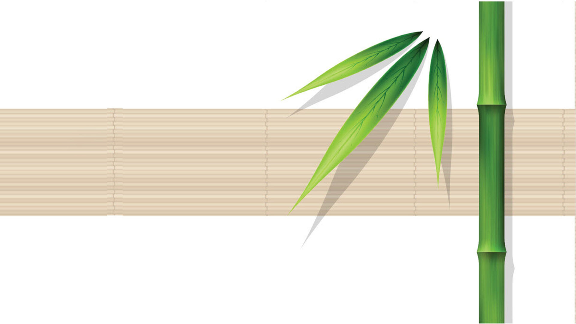 Beautiful Slide Wallpaper, download Beautiful Slide Wallpaper here Picture 21