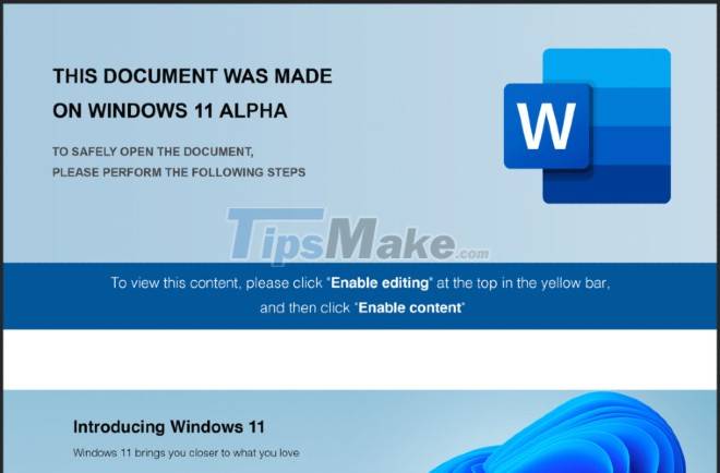 Beware of the 'Windows 11 Alpha' cyberattack campaign Picture 1