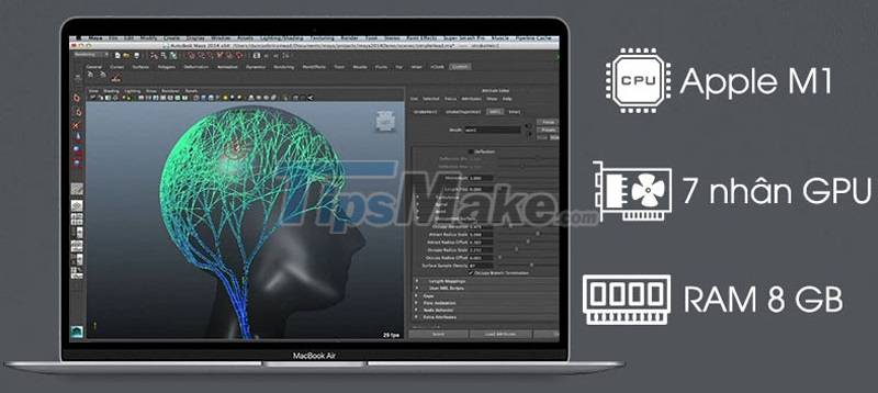 Compare MacBook Pro and MacBook Air Picture 6