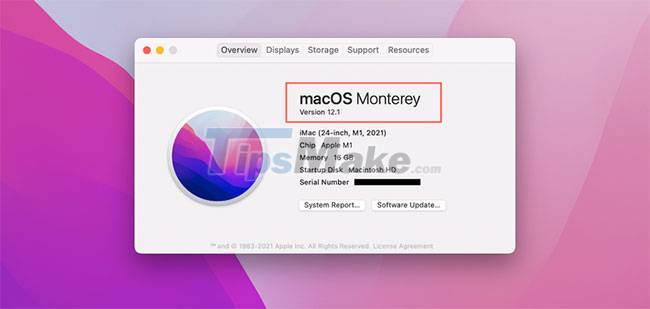 Fix AirPods not automatically switching between Apple devices Picture 3