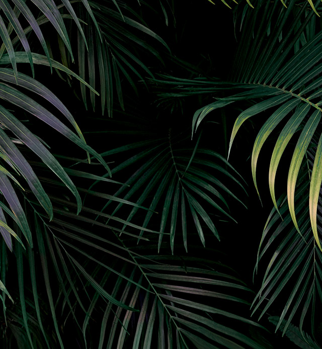 Google Pixel 6 wallpapers, Pixel 6 wallpapers, download Pixel 6 wallpapers here Picture 25