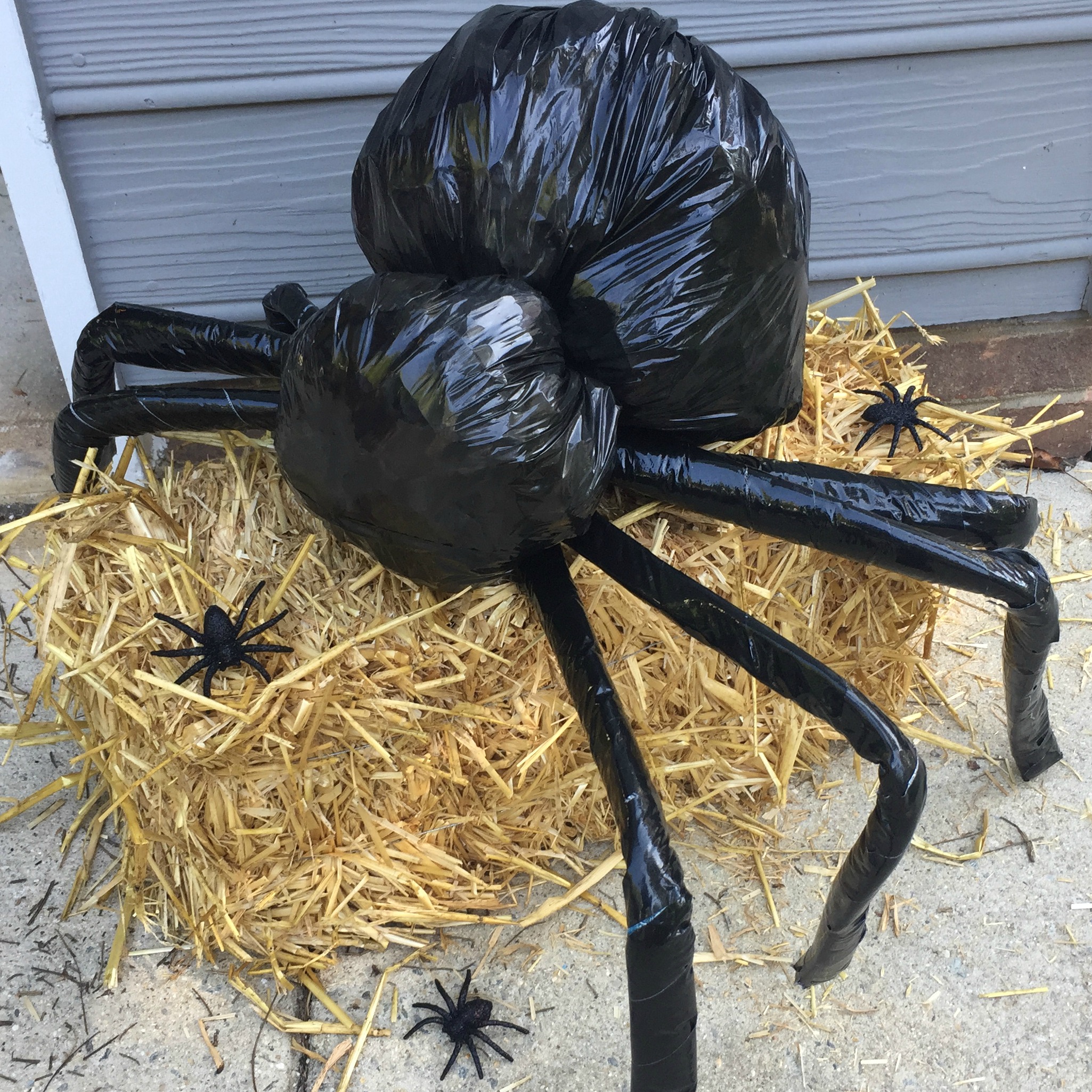 Halloween spider images Picture 10