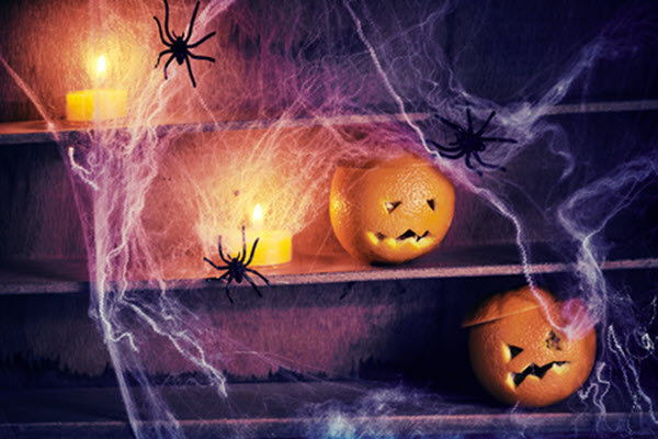 Halloween spider images Picture 11