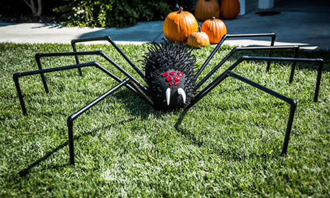 Halloween spider images Picture 13