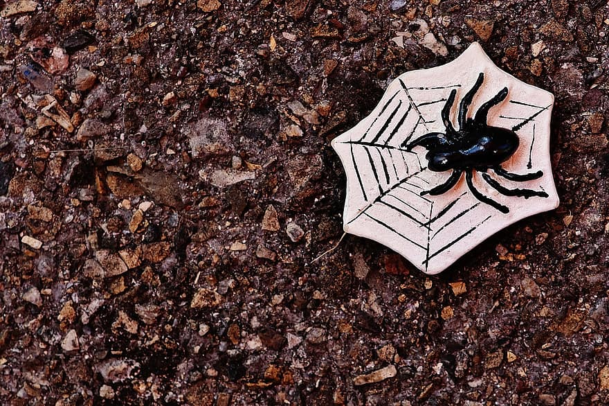 Halloween spider images Picture 14