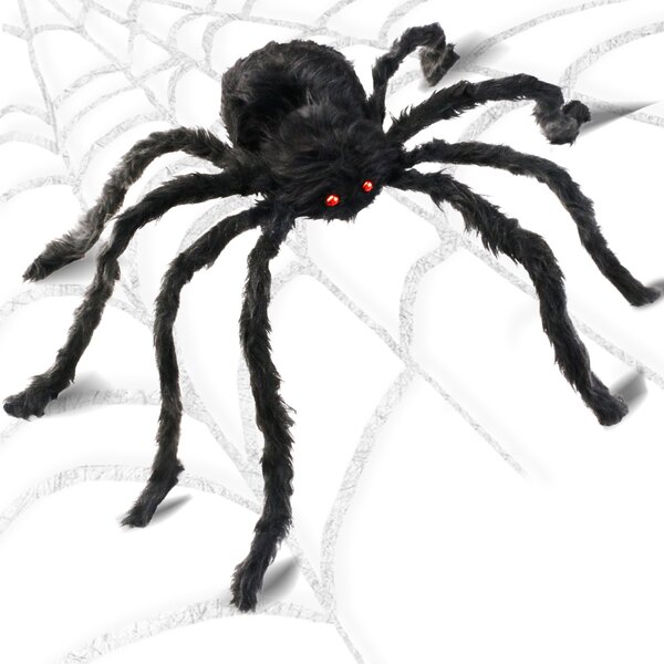 Halloween spider images Picture 15