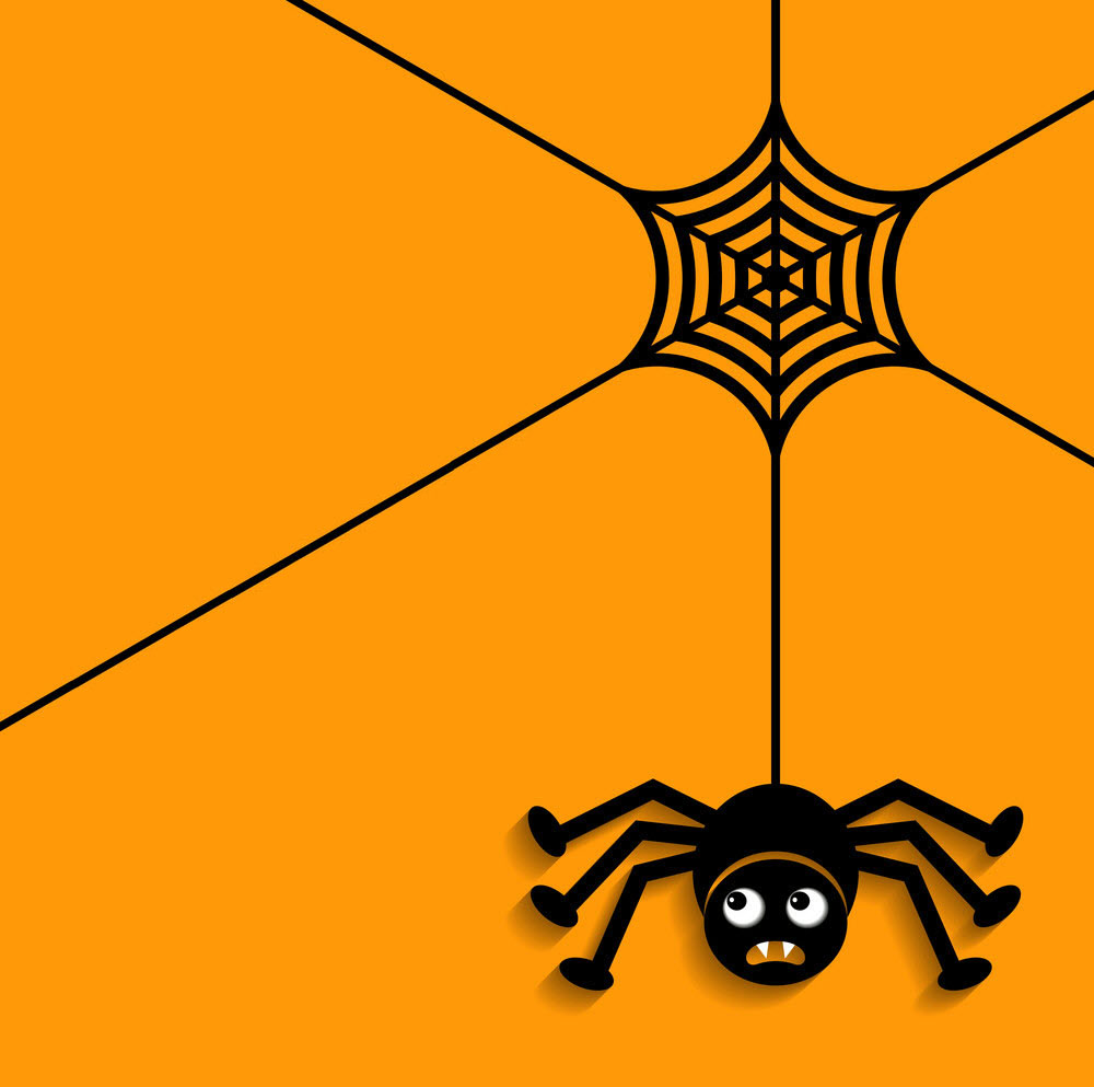Halloween spider images Picture 17