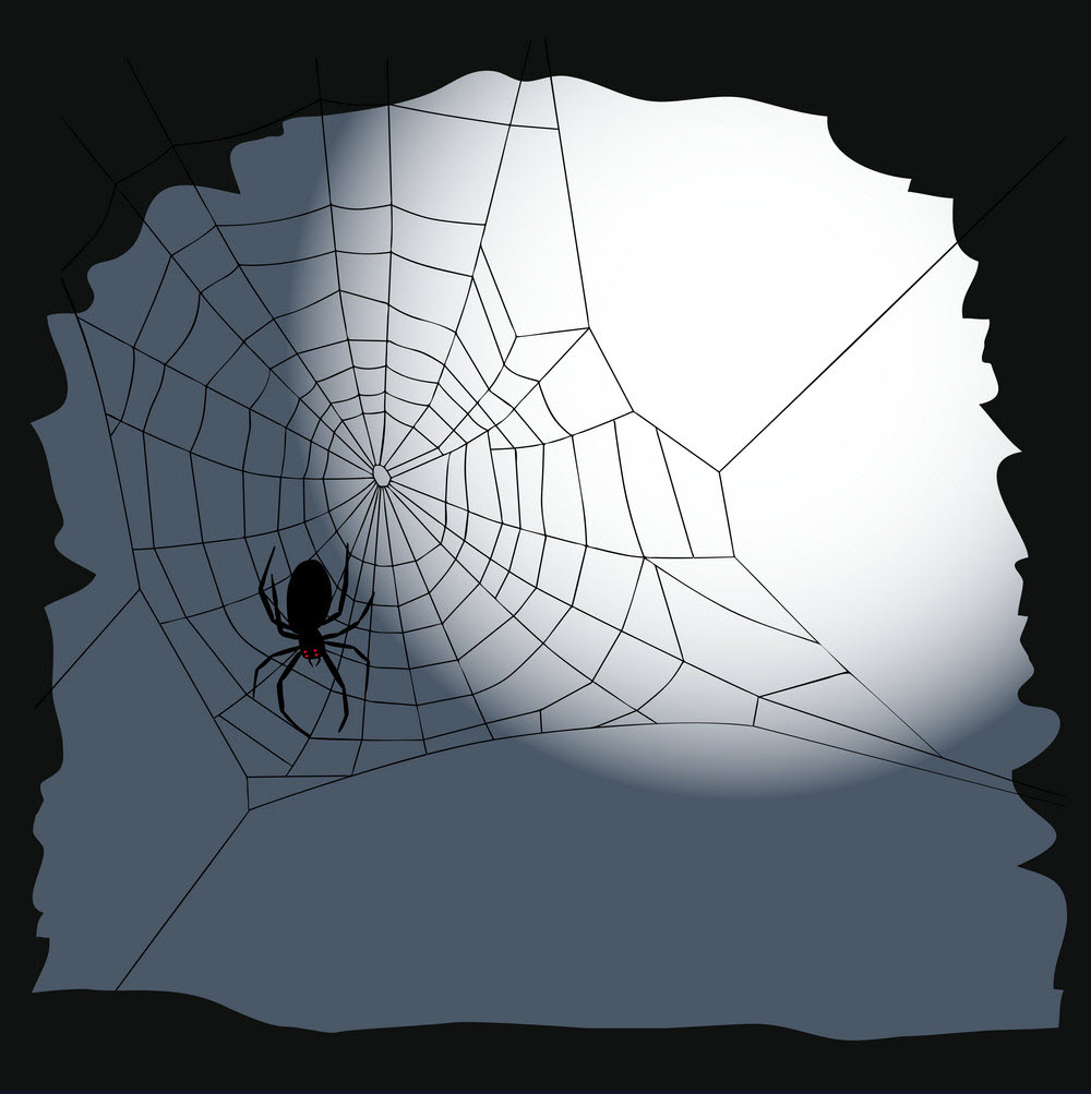 Halloween spider images Picture 27