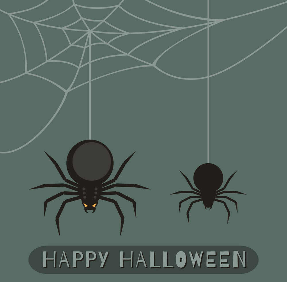 Halloween spider images Picture 37