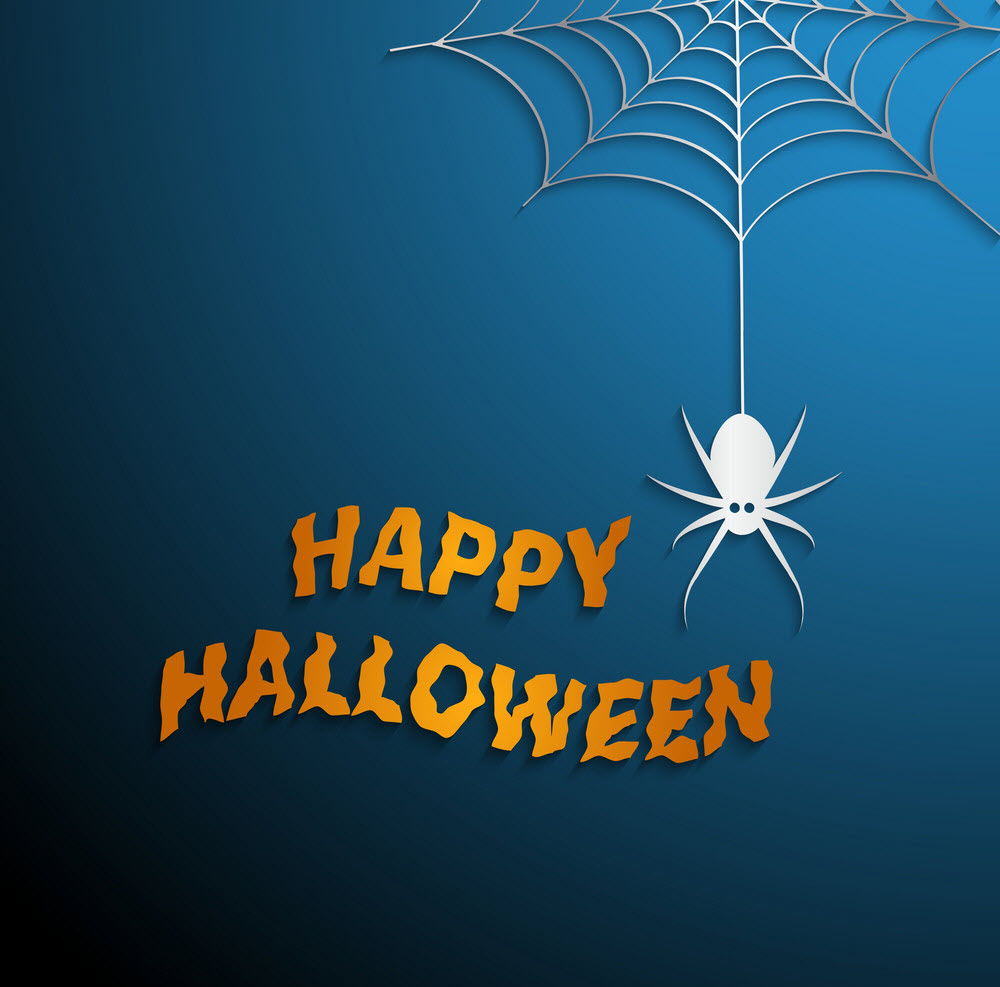 Halloween spider images Picture 43
