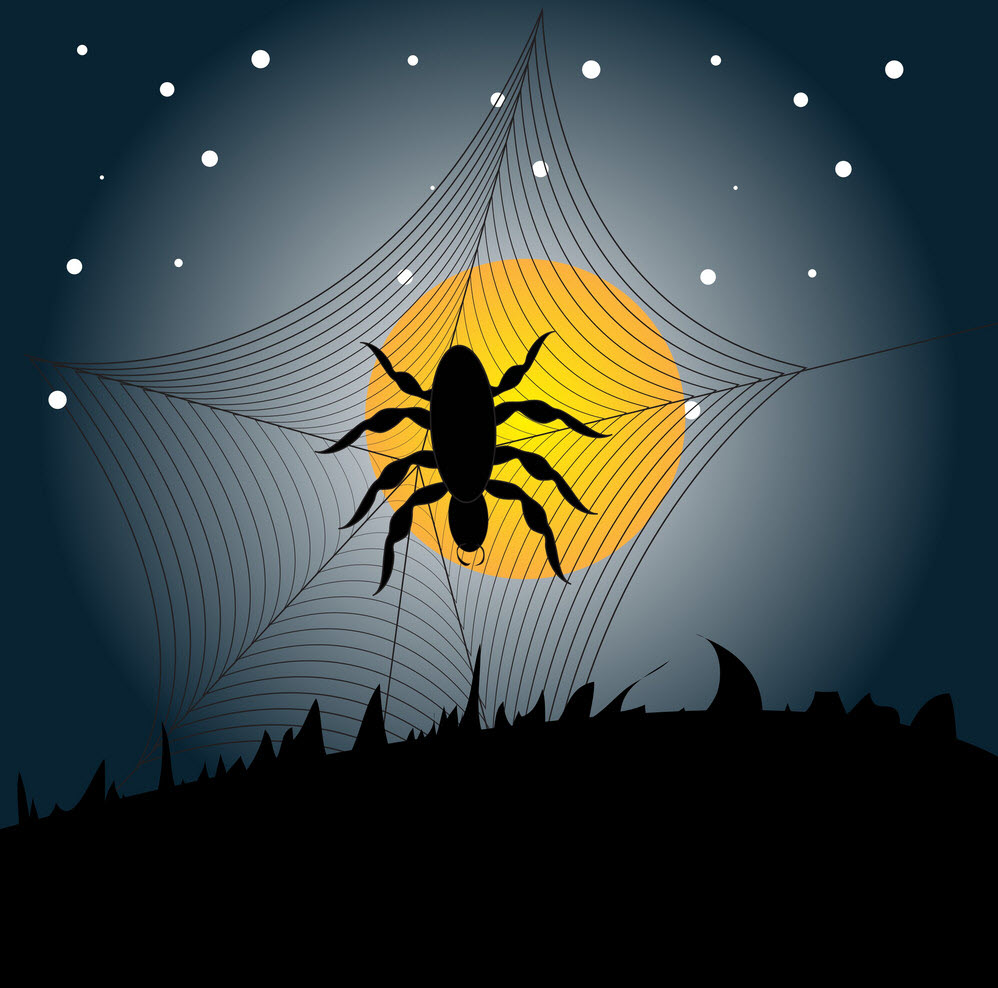 Halloween spider images Picture 45