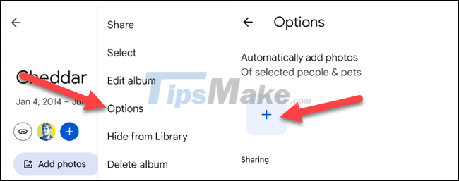 How to automatically add photos to albums on Google Photo Picture 4