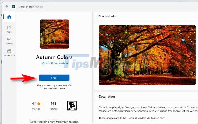 How to change the theme on Windows 11 Picture 8