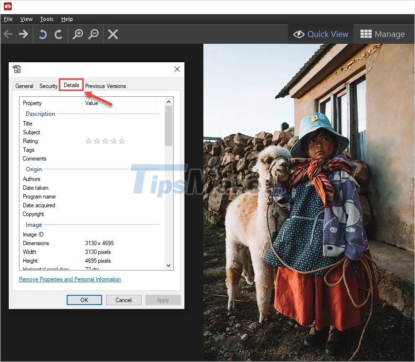 How to edit the Metadata of the image file, change the image information Picture 2