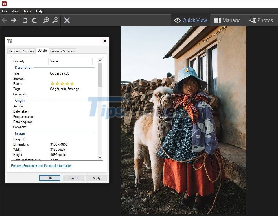 How to edit the Metadata of the image file, change the image information Picture 3