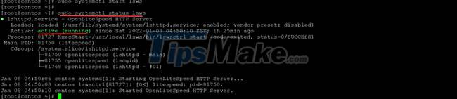 Configure Openlitespeed Web Server - Rocky