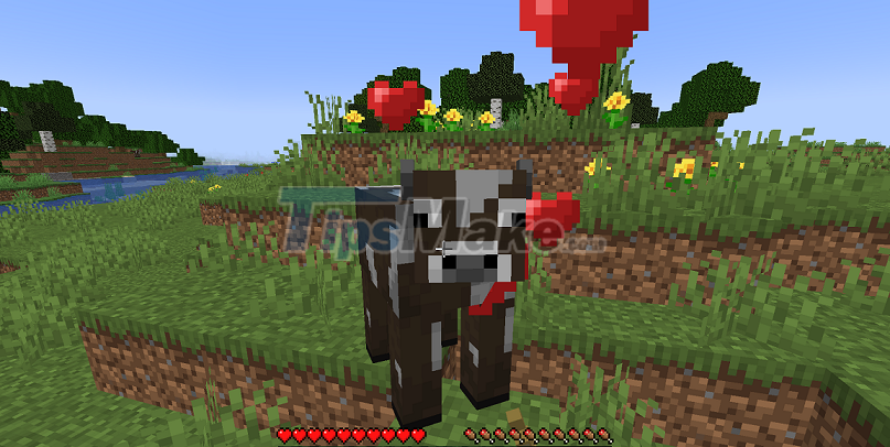 Picture 1 of How to tame animals in Minecraft