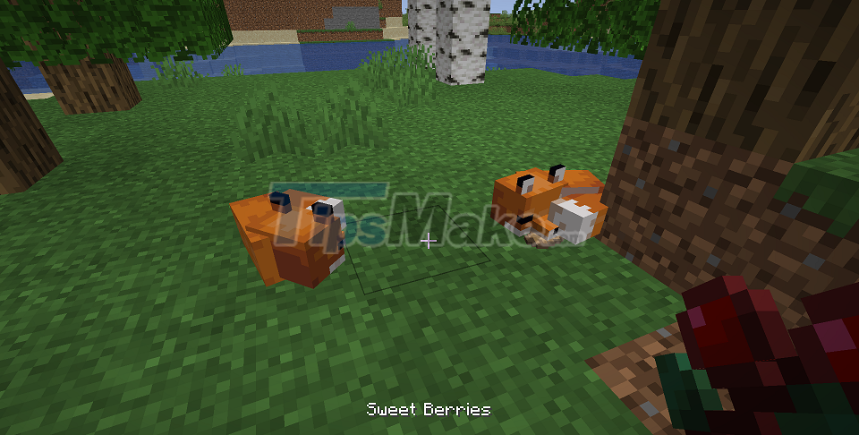 Picture 11 of How to tame animals in Minecraft