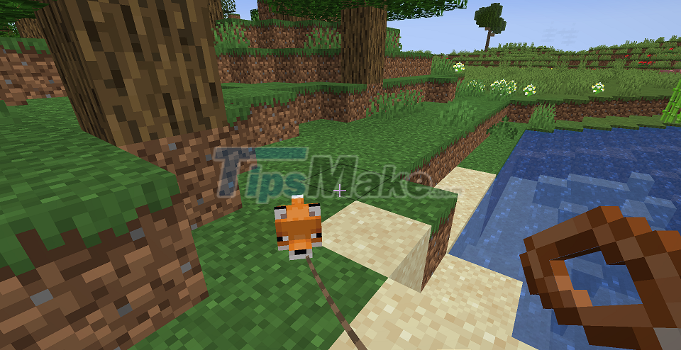 Picture 12 of How to tame animals in Minecraft