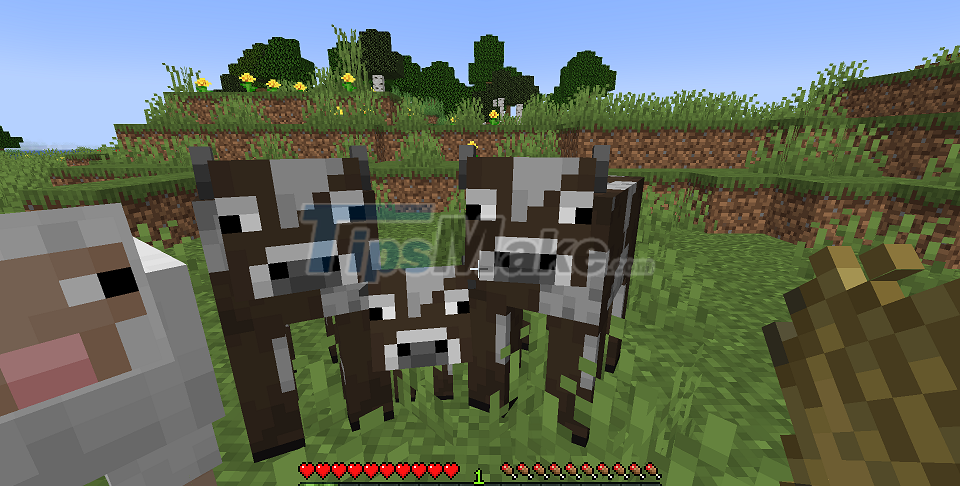 Picture 3 of How to tame animals in Minecraft