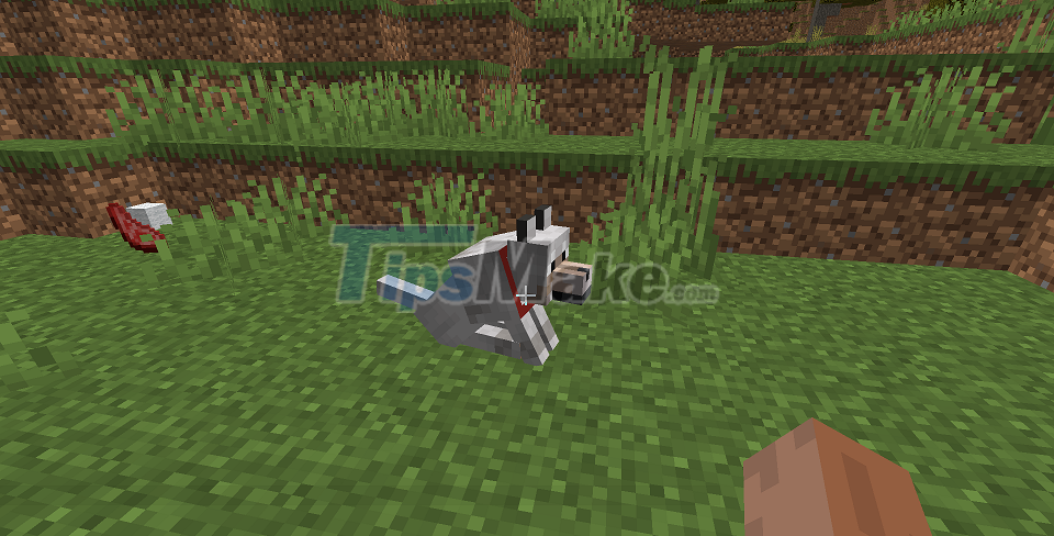 Picture 5 of How to tame animals in Minecraft