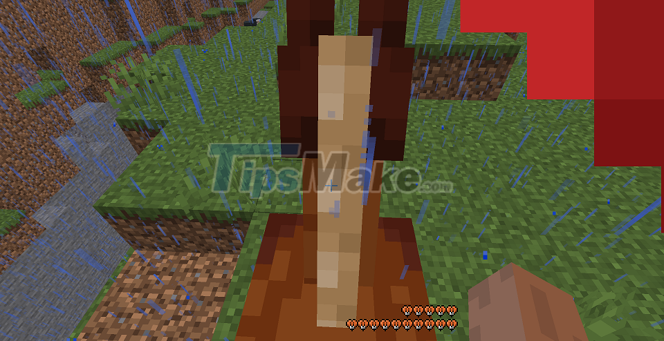 Picture 7 of How to tame animals in Minecraft