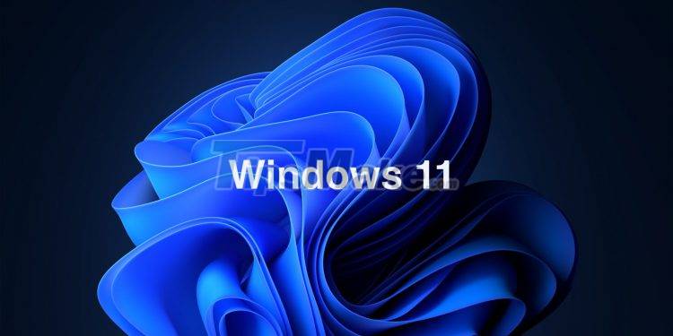 How to upgrade Windows 10 to Windows 11 without losing data Picture 1