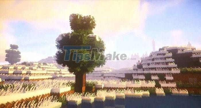 Instructions for installing Minecraft texture packs Picture 7