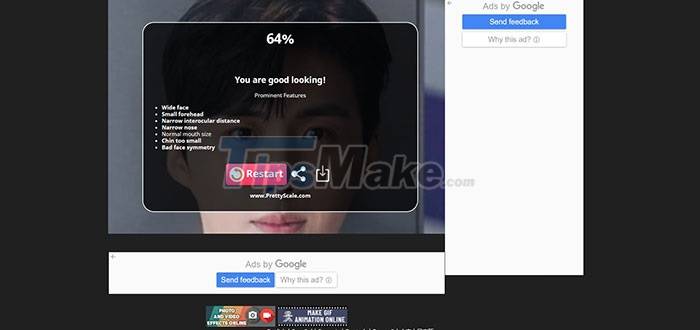 Instructions for measuring and scoring faces with Prettyscale Picture 7