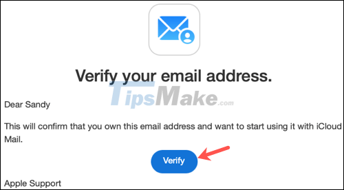 Instructions for setting up a custom email domain on iCloud Picture 8