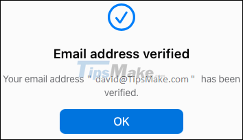 Instructions for setting up a custom email domain on iCloud Picture 9